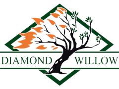 See more Diamond Willow Mechanical jobs